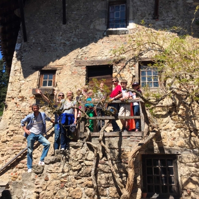 Wachtel Rural